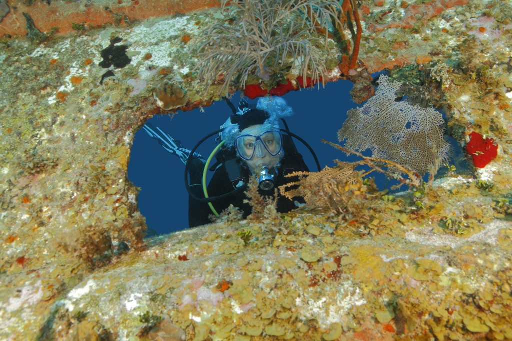 Roatan Wreck Diving