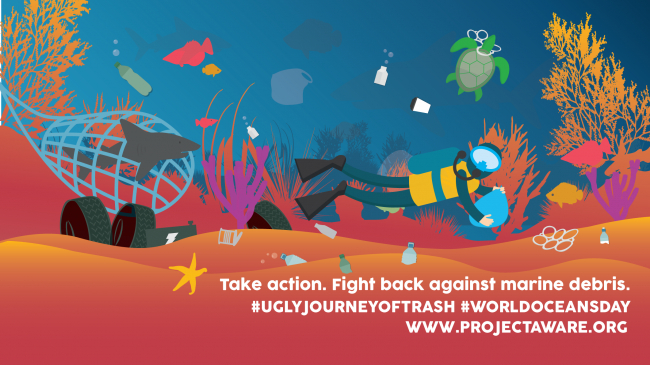 Project AWARE Explains the Ugly Journey of our Trash