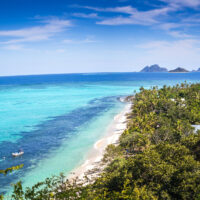 Coral reef on the beach in Mana Island, Fiji