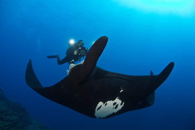 Blue Water Series: The Dive Behind the Photo – Part 2