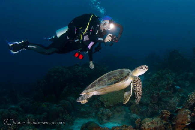 Total Sub Bonaire Recap – Time Flies When You’re Having Fun