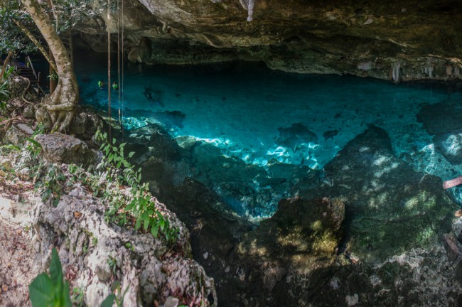 Top Dive Sites in North and South America