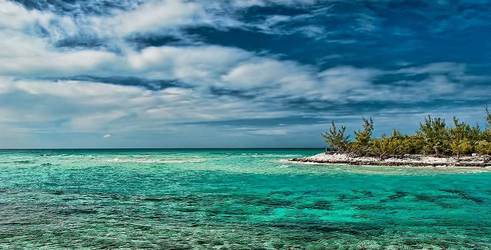 Bahamas Coral Reefs