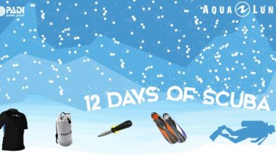 12 Days of Scuba