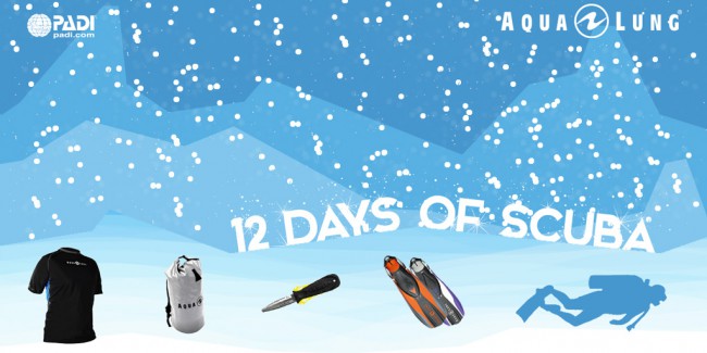 12 Days of Scuba: The Winners Are Announced!