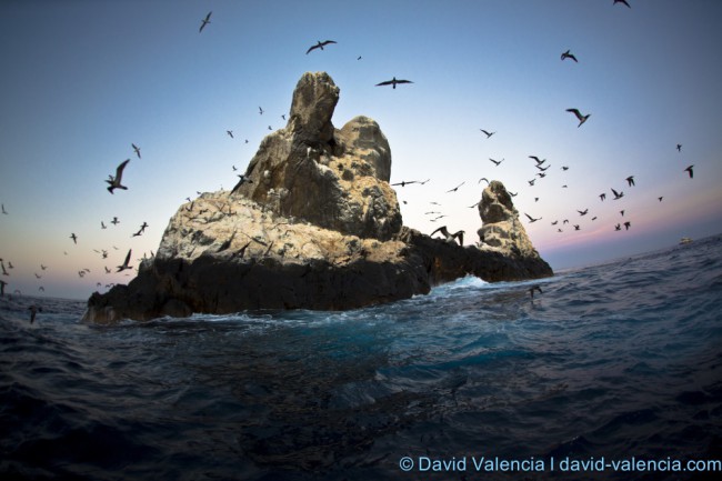 Interview with David Valencia, Underwater Photographer and PADI Master Scuba Diver Trainer