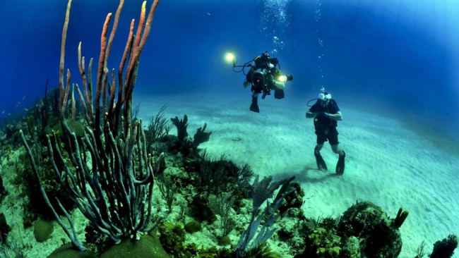 These Ocean Facts Will Blow Your Mind