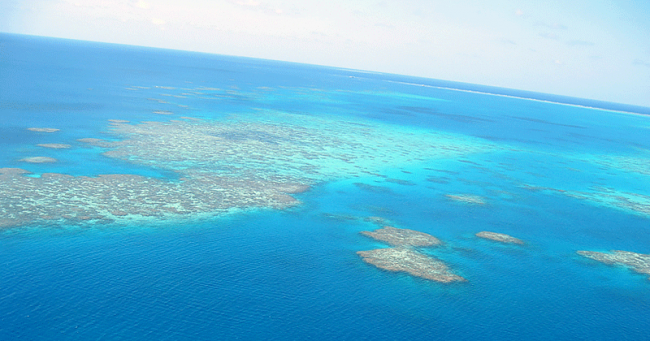 great-barrier-reef_ PADI Pro