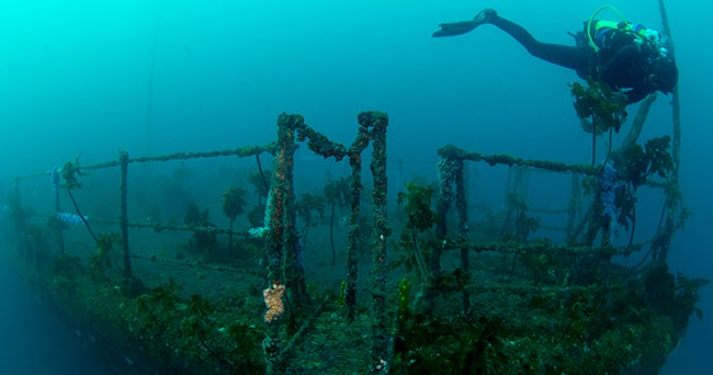 HMNZ Canterbury Wreck Dive New Zealand