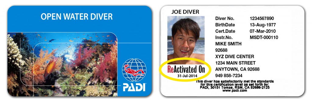 Smith Ocean Adventure Travel Blog PADI Certification Card FAQs