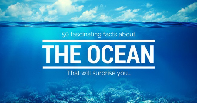 50 Fascinating Facts About the Ocean [Infographic]