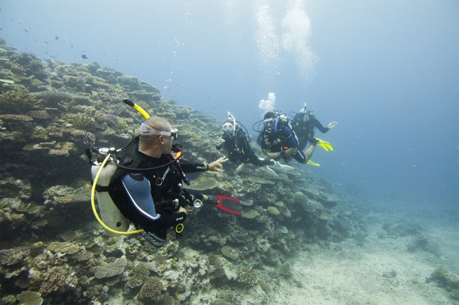 Divemaster and Jedi Master: The Force is Strong with Both