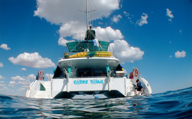 Sail Ningaloo Wins Ecotourism Gold Award