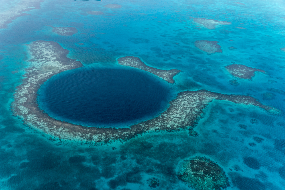 coral reef - belize