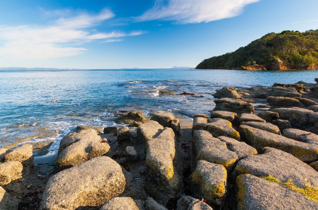 New Zealand Goat Island