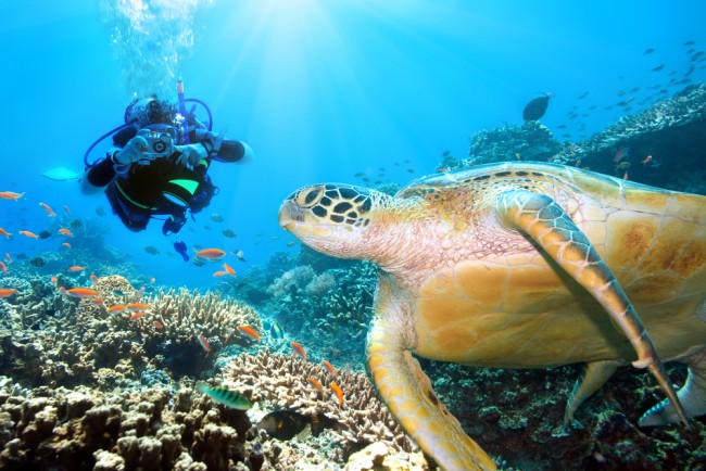5 Must Dive Destinations for 2016
