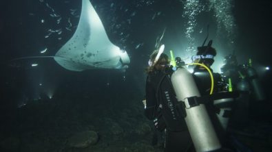 emily-hawaii-rays-night-dive