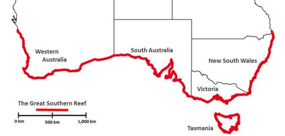 Great Southern Reef - Map 