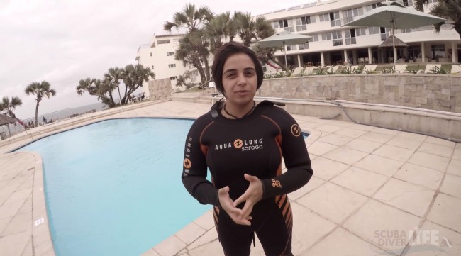 The Journey to Becoming a PADI Instructor, Part 1