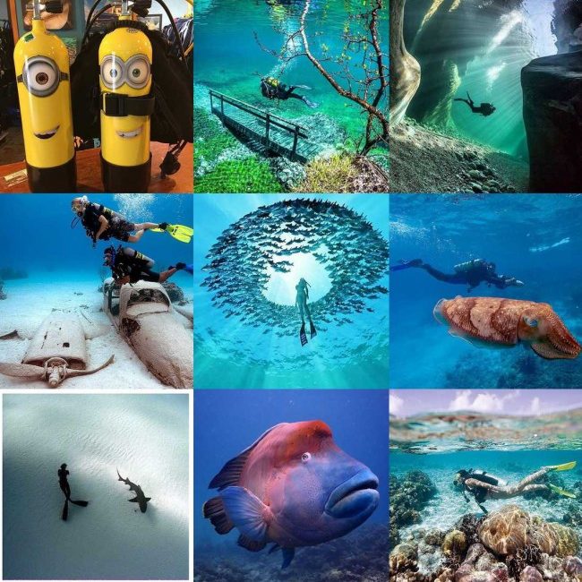 Top Diving Photos of 2015 from @paditv