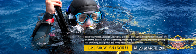 DRT Shanghai 2016 - Logo 3