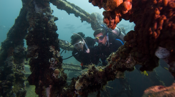 two divers explore wreck