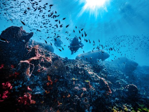two scuba divers explore a coral reef filled with schools of fish in St. Lucia