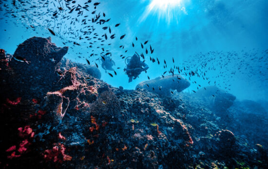 two scuba divers explore a coral reef filled with schools of fish in St. Lucia