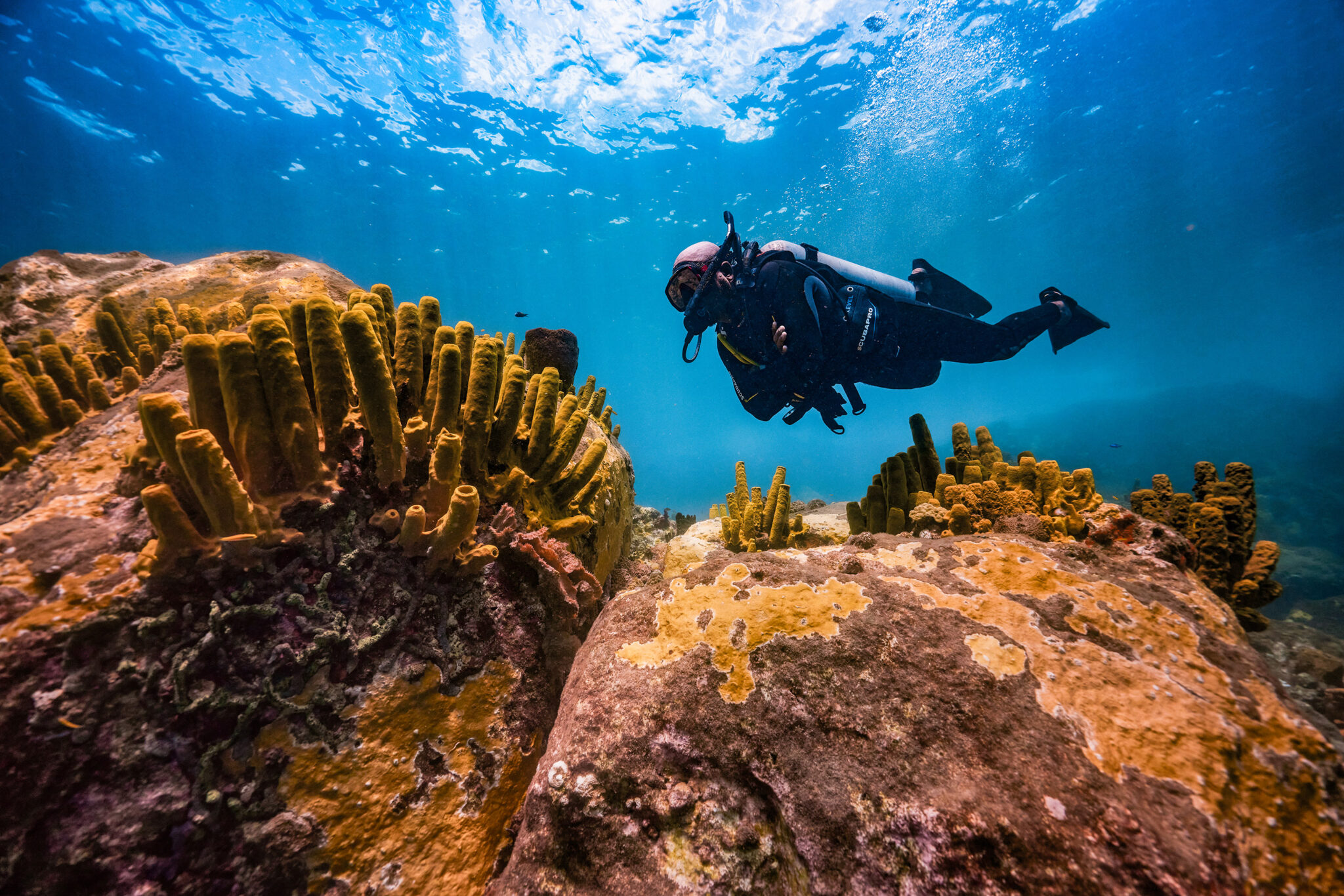 Scuba diver exploring a coral reef in St. Lucia 