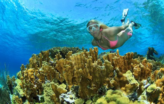 A woman in a pink bikini freedives over a coral reef.