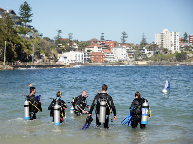 shore-dive-australia