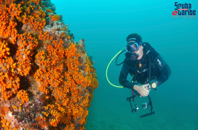 Scuba Diving in Cape Verde - PADI Blog