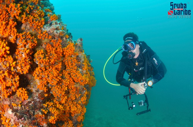 JuanBlanco_DiveSite1