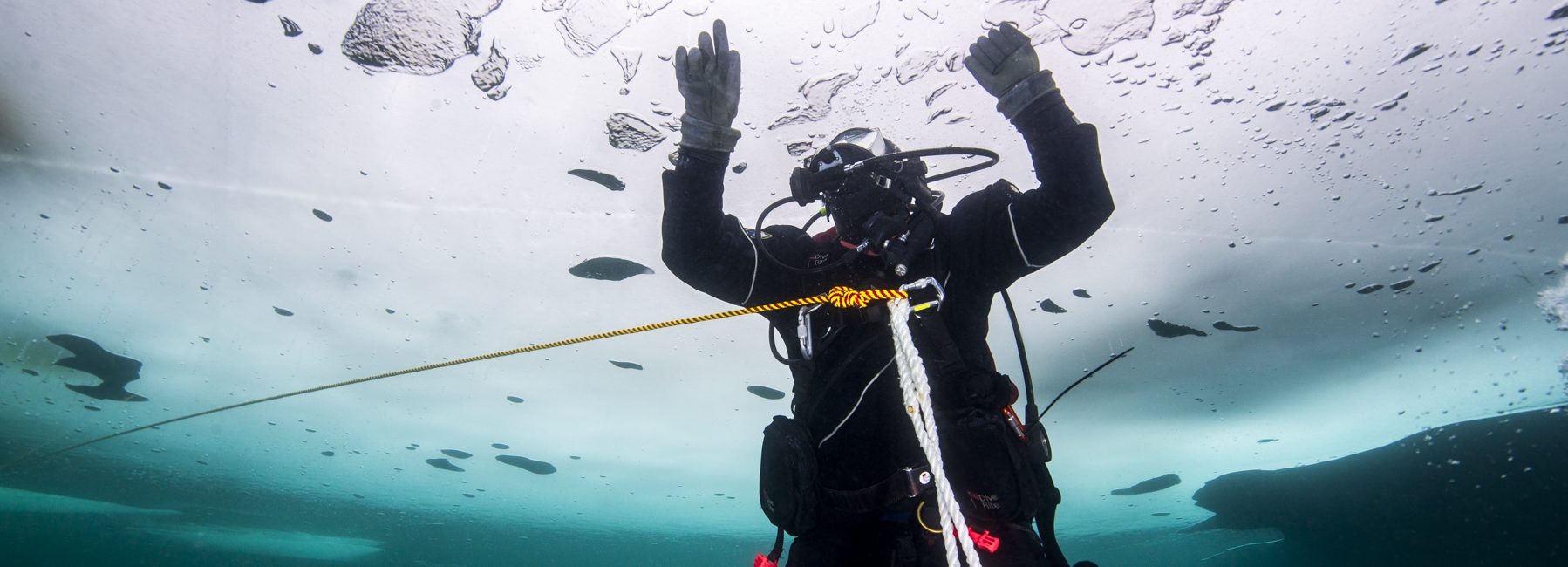 American Idol: PADI Scuba Instructor Dives the 50 States