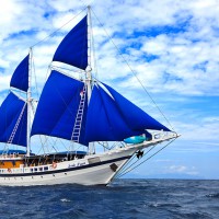 Liveaboard Diving Indonesia - Indo Siren