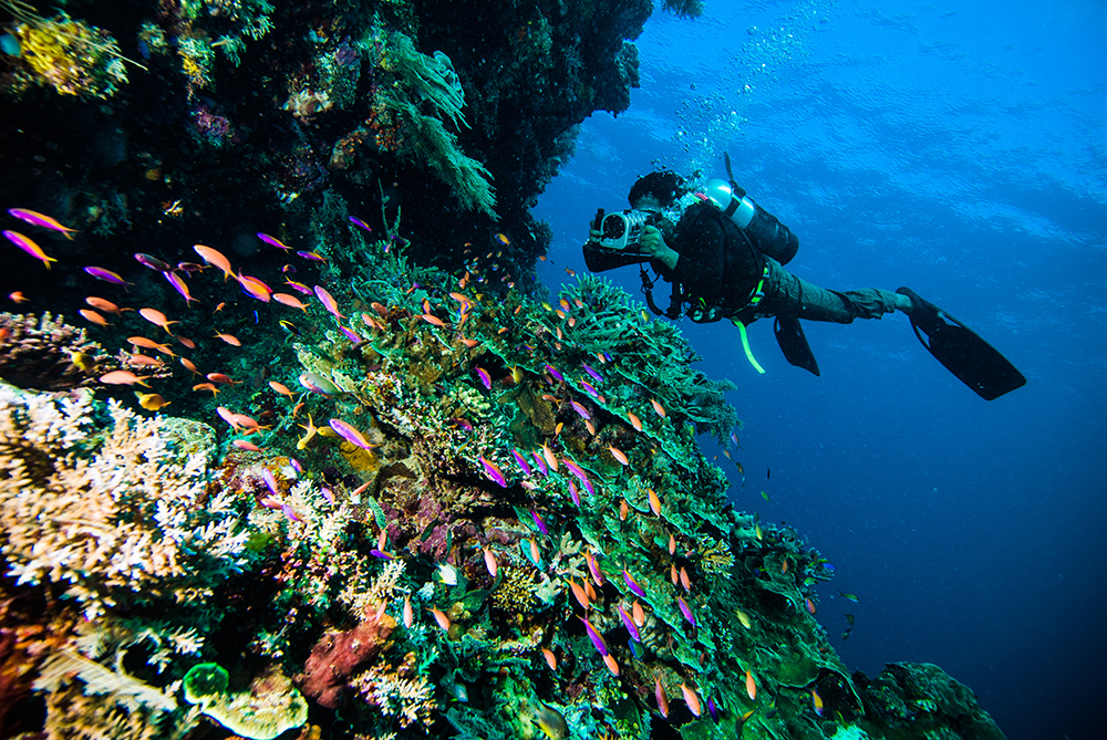 Diving Indonesia