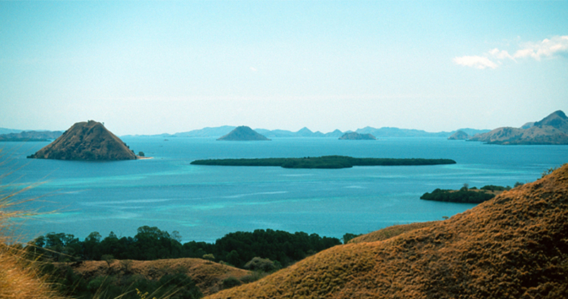 Liveaboard diving Indonesia - Komodo