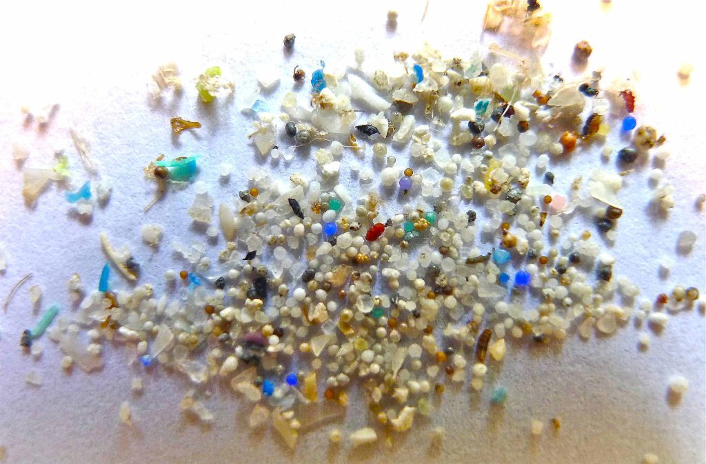 Ocean Conservation - Microbeads