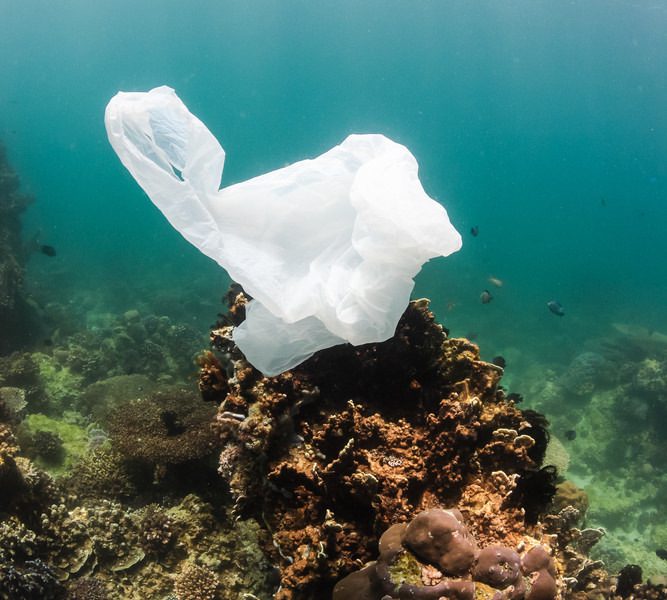 Recycling Myths Trashed