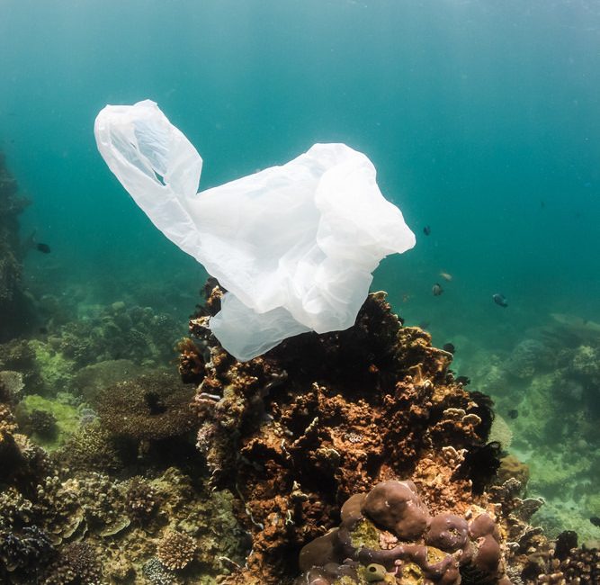 Recycling Myths Trashed