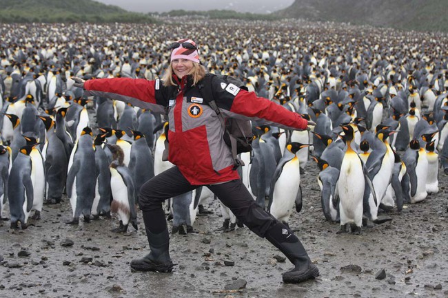 susan-w-penguins