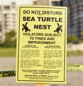Turtle Nesting Site Warning