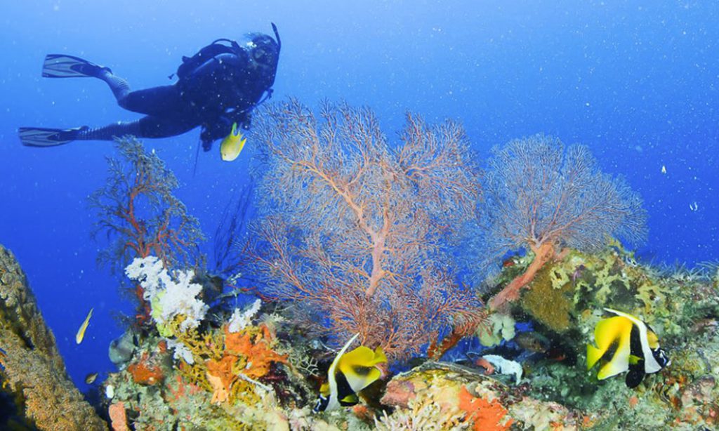 Rocio Gajon Protects Ocean Planet