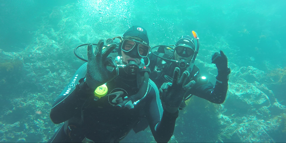 Sidharth Malhotra Diving PADI Dive! Tutukaka