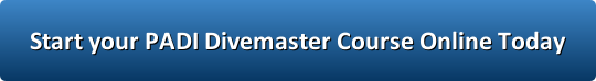 Start Divemaster Course Online