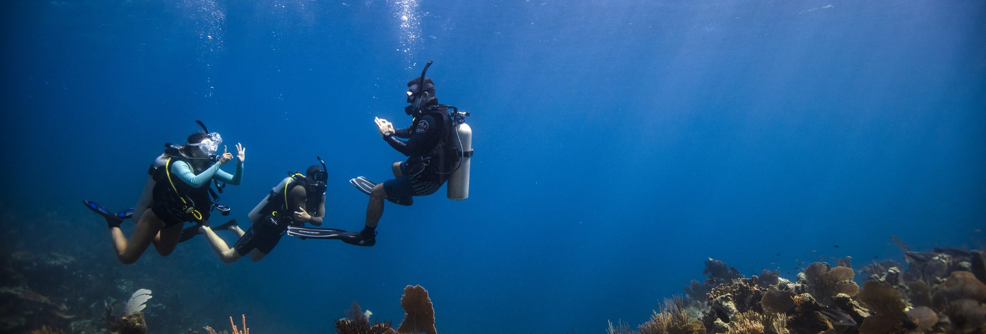 Diving into Your Divemaster: Frequently Asked Questions
