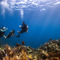 Pro-Boost-Divemaster - Underwater - Coral