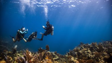 Pro-Boost-Divemaster - Underwater - Coral