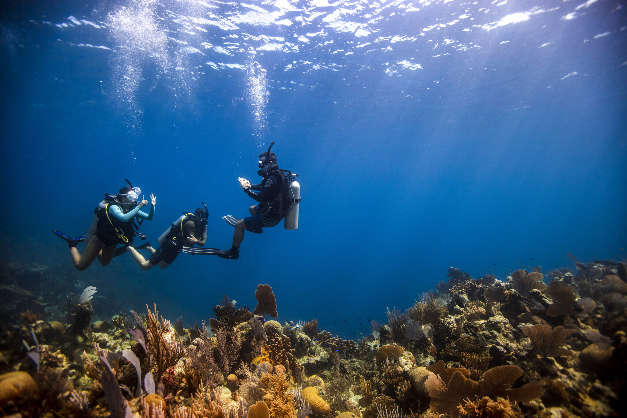 Pro-Boost-Divemaster - Underwater - Coral