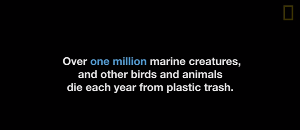 National Geographic Plastic Quote